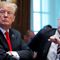 Trump Criticizes Military Commanders, Allies and Bemoans ‘Endless Wars’