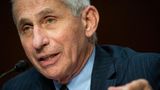 Trump said he opposed Fauci's plan to shut down the country for COVID: 'His ideas were CRAZY!'