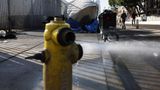 Hundreds of Los Angeles fire hydrants stolen as fire season starts