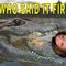 Who drained the swamp? Pelosi or Trump?