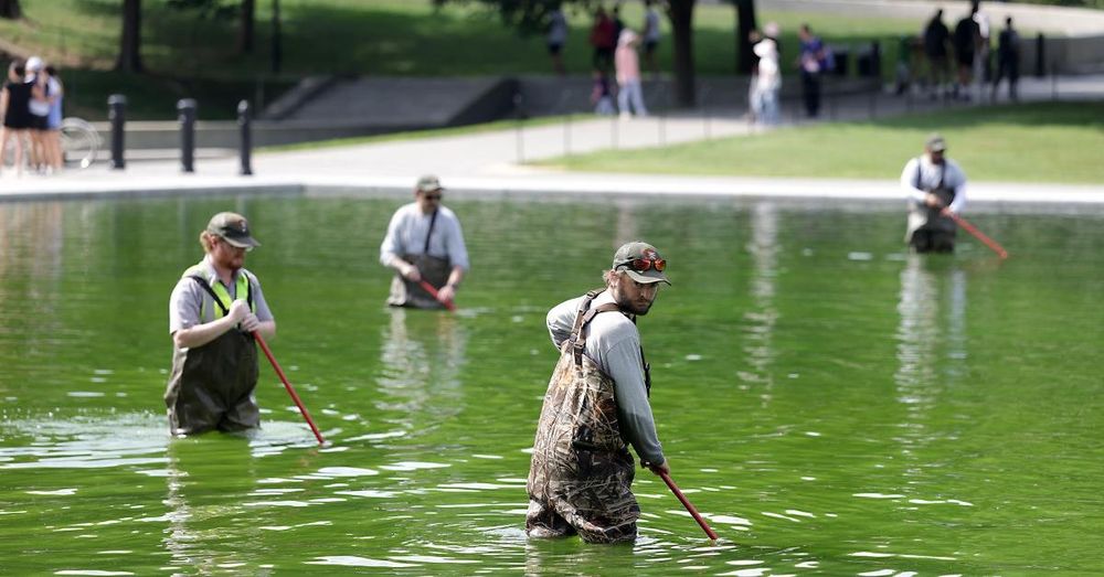 National Park Service uses chemicals and micro bubbles in algae fight at refurbished Reflecting Pool