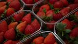 FDA, CDC investigating potential link between hepatitis A cases and organic strawberries