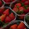 FDA, CDC investigating potential link between hepatitis A cases and organic strawberries