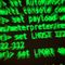 U.S. intelligence probing whether Putin testing Biden with Russian cyber hacks