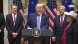 President Trump Makes an Announcement on EU Trade