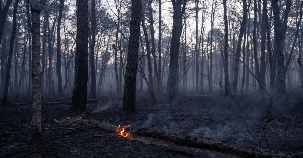 Second teen charged with arson in connection to New Jersey wildfires