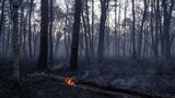 Second teen charged with arson in connection to New Jersey wildfires