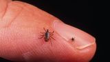 RFK Jr. unveils 'sweeping' Lyme disease research, containment, treatment plan