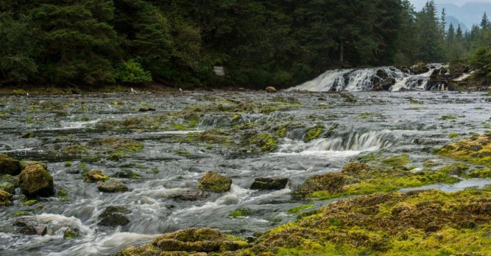 Charter plane crash kills eight in remote part of western Alaska, military says