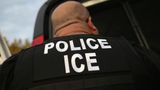 Watchdog report finds ICE facility did not use proper COVID-19 precautions