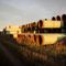 TC Energy confirms the nixing of the Keystone XL Pipeline Project