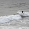 California Oil Spill Still Affecting Huntington Beach Businesses, Commercial Fishing
