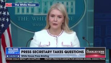 LEAVITT ON ICE TRACKER