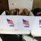 How Third Party Candidates Could Upset US Presidential Election