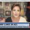 Kari Lake: Our Elections are on Shaky Ground
