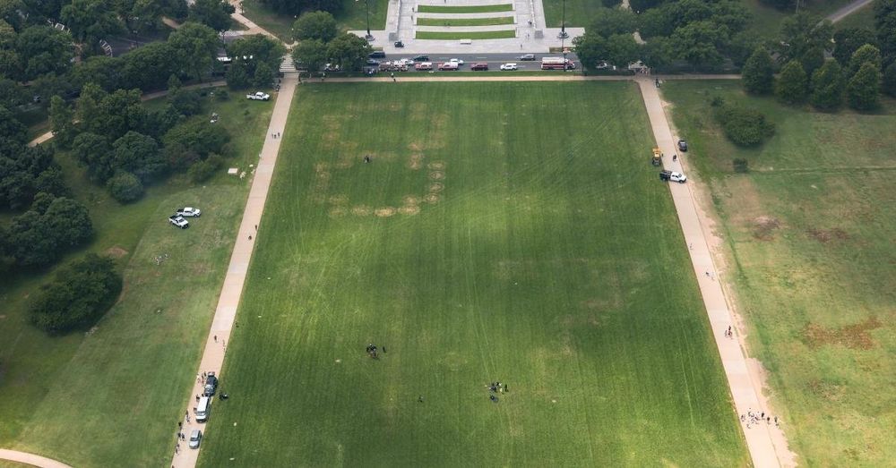 Pattern on National Mall grass appears to show '8647,' numbers associated with threats to Trump