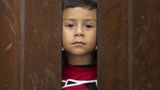 Senate Dems block effort to reform program accused of facilitating abuse of migrant children