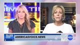 Mary Ann Mendoza on the Democrat's refusal to acknowledge crimes committed by illegal immigrants