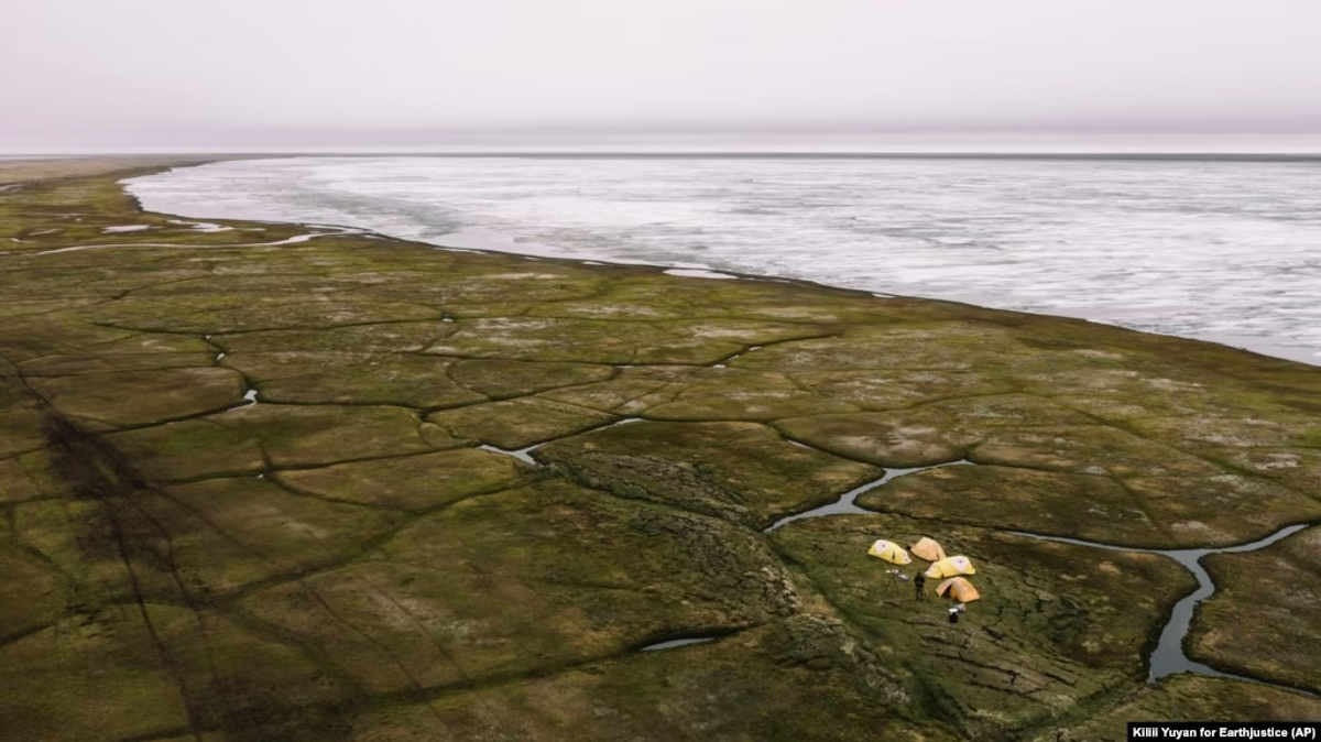 Biden Administration Backs Smaller Version of Alaska Drilling Project