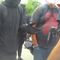 ANTIFA maced an individual then hounds photographer for taking pictures