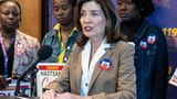 Congresswoman hints at legislative action against New York's 'gestating parent' bill
