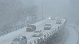 Strong winter storm leads to nearly 250 crashes in Virginia, police warn drivers to stay home