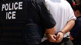 366 illegal foreign nationals targeted for removal arrested in ICE operation in August