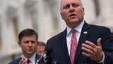 House Majority Leader Scalise says diagnosed with blood cancer, 'very treatable'