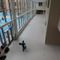 Ohio college student dies following hazing incident gone wrong