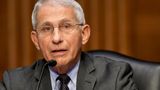 Fauci says he is 'not convinced' COVID-19 came about naturally