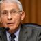Fauci says he is 'not convinced' COVID-19 came about naturally