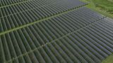Solar farm uncertain following bipartisan concerns