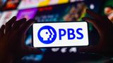 PBS dumps Twitter over 'government-funded' label, following NPR