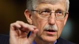 NIH director wants to avoid lockdowns 'at all costs,' Fauci warns pandemic 'going to get worse'