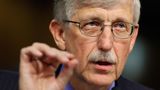 Longtime National Institutes of Health Director Francis Collins steps down, report