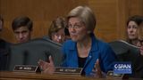 Sen. Elizabeth Warren questions HUD Secretary Nominee Dr. Ben Carson (C-SPAN)