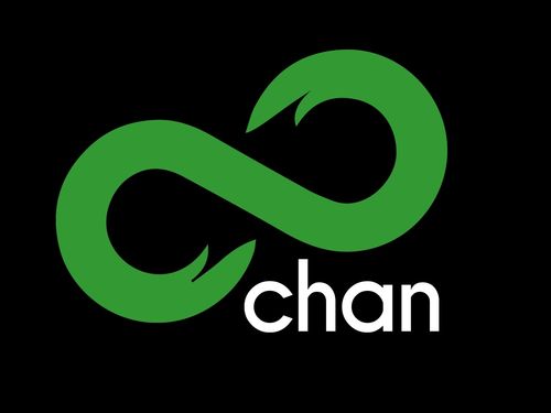 8chan Owner Pledges Changes in House Testimony About Links to Mass Shootings 
