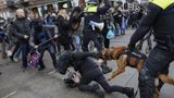 Dutch police disperse anti-lockdown protest with biting dog, batons: video