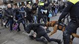 Dutch police disperse anti-lockdown protest with biting dog, batons: video