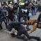 Dutch police disperse anti-lockdown protest with biting dog, batons: video
