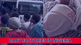 Baby Factories in Nigeria