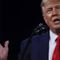 Trump makes surprise appearance at Big Dog Ranch Rescue fundraiser