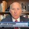 Rep. Louie Gohmert on the leak that Feds are considering charges against Hunter Biden