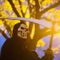 Nearly four-in-ten Americans believe humanity 'living in the end times,' poll