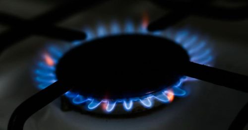 Energy Secretary attempts to justify regulating gas appliances, despite owning a gas stove