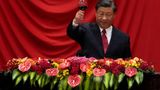 Xi Jinping suggests China may send U.S. more giant pandas