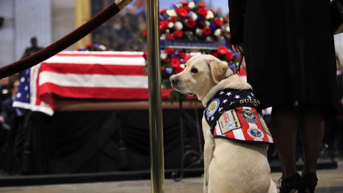 Nation Pauses Wednesday to Mourn Former US President George H.W. Bush