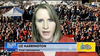 Liz Harrington: Special Counsel for President Trump is 'Banana Republic Stuff'