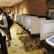 Glitches Mar Voting, Frustrate Voters in Georgia, Other States