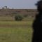Texas Landowners Dig In to Fight Trump’s Border Wall